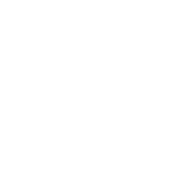 Remise d'un rapport complet et détaillé